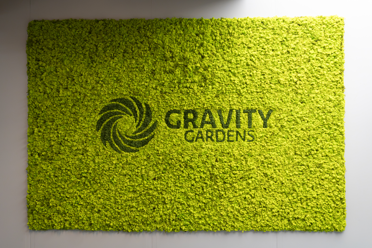 green wall with logo in the office of Gravity Gardens