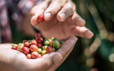 How Carble connects coffee to the Copernicus Masters