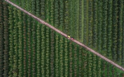 Grow your Earth observation idea with these 7 Copernicus Masters challenges