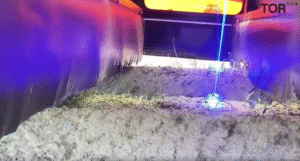 blue laser light from the robot used to kill weeds in field