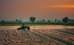 Smart farming FieldScout