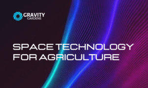 digital imagery and Gravity Gardens logo