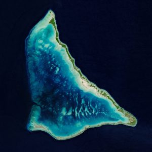 Reef