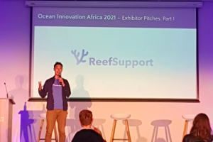 reef support