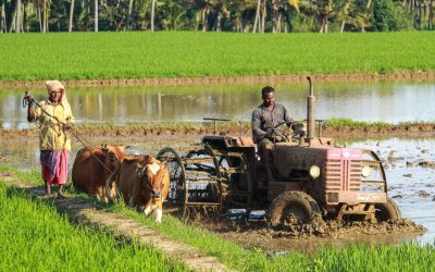 Agtuall de-risks smallholder farmers across the world by providing them increased access to finance and insurance
